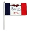 Iowa Flag 12 x 18 inch