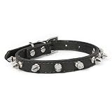 Hundehalsband Hunde