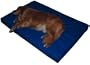 OCK9 Hospital Grade Orthopedic Memory Foam Dog Bed - Blue, Large
