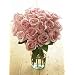 Two Dozen Sweet & Lovely Bouquet