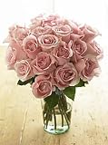Two Dozen Sweet & Lovely Bouquet, Eco-Friendly - Pink Rose Bouquet