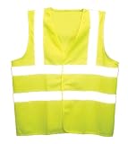 MSA Safety Works Class II Safety Vest #10053454