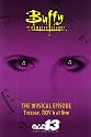 Buffy The Vampire Slayer (TV) - Movie Poster - 11 x 17