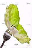 IMAGE OF Wallmonkeys Peel and Stick Wall Decals - Grünes Salatblatt Auf Gabel - 60