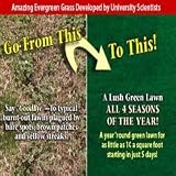 Kitchen & Housewares : Quicklawn Grass Seed