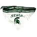 NCAA Dog Collar Bandana, Large, Michigan State University Spartans