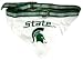 NCAA Dog Collar Bandana
