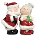 Santa & Mrs. Claus Salt & Pepper Shakers