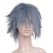Short Blue Grey Anime Cosplay Costume Wig