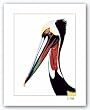 Pelican by Lori LaMont 12"x16" Art Print Poster