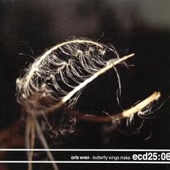 Butterfly Wings Make