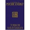 Commentary on Psychic Energy