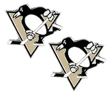 Pittsburgh Penguins - NHL Team Logo Post Earrings