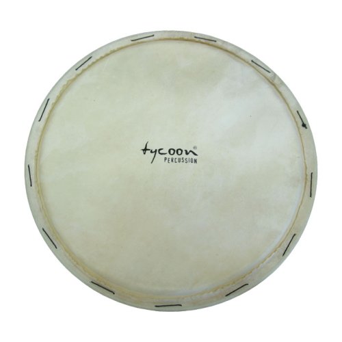 Tycoon Djembe Head, 13