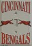 Cincinnati Bengals Light Switch Covers (single) Plates LS10099