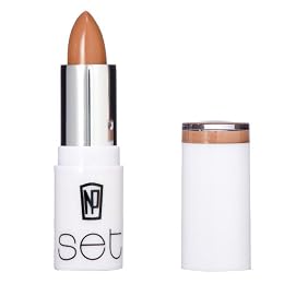 NP Set Lipstick in Washington Sheer Nude from target.com