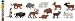 Safari LTD Wildlife Toob