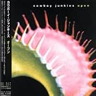 Click here to buy Open by  Cowboy Junkies .