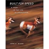 Built for Speed: A Year in the Life of Pronghorn