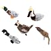 SET OF 5 - Squawk Flock Squaking Dog Toys