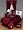 South Carolina Gamecocks Comforter Bedspread Full Queen