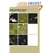 Geographic Information Systems in Oceanography and Fisheries