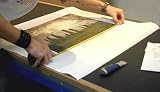 Box Canvas Prints of CAT - scratching from Ardea