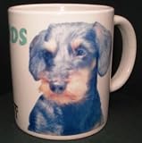 Review The Moneyman  / Dachshund wire haired DOG MUG