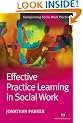 Effective Practice Learning in Social Work: 1 (Transforming Social Work Practice)