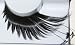 ZINK COLOR ELEGANT LASH FALSE EYELASHES F879 Shu uemura style lashes