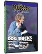 Dog Tricks Volume 1 -  Dog & Puppy Training DVD