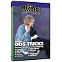 Dog Tricks Volume 1 -  Dog & Puppy Training DVD