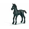 Schleich - 13622 - Figurine - Animaux - Poulain Frison