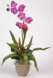 Single Flame Brom / Orchid Silk Plant Flower Arrangement - Orchid - B000I6MQ8K