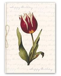 genus Tulipa 33 Combo 2 - 5" x 7" Vellum Overlay Birthday Greeting Card