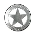 Deputy Sheriff Badge Belt Buckle