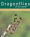 Dragonflies of the World