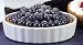 BIA Cordon Bleu 5-Inch Porcelain Quiche Dish