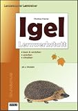 Igel Lernwerkstatt