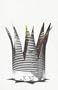 King (Bloomsbury Paperbacks)