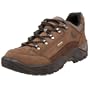 Lowa Men's Renegade GTX Lo Hiking Shoe,Sepia/Brown,11 M US