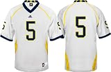 Tate Forcier #5 Michigan Wolverines 2010 Adidas Sewn Jersey