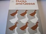 Ducks and geese