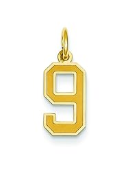 14K Yellow Gold Small Satin Number 9 Charm Pendant