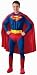 Search : DC Comics Deluxe Muscle Chest Superman