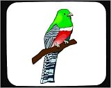 Decorated Mouse Pad with green, trogen, bird, animal, tropical