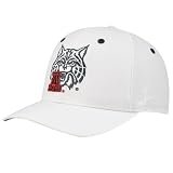 Zephyr Arizona Wildcats White Flurry Fitted Hat