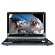 Asus U81A Laptop (Refurb) Intel Core 2 Duo T6500 2.1GHz 14-inch $499.99