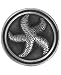 Engraved Starfish Knob - Star Fish