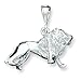 Sterling Silver Lion Charm with 20 inch Sterling
